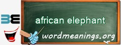 WordMeaning blackboard for african elephant